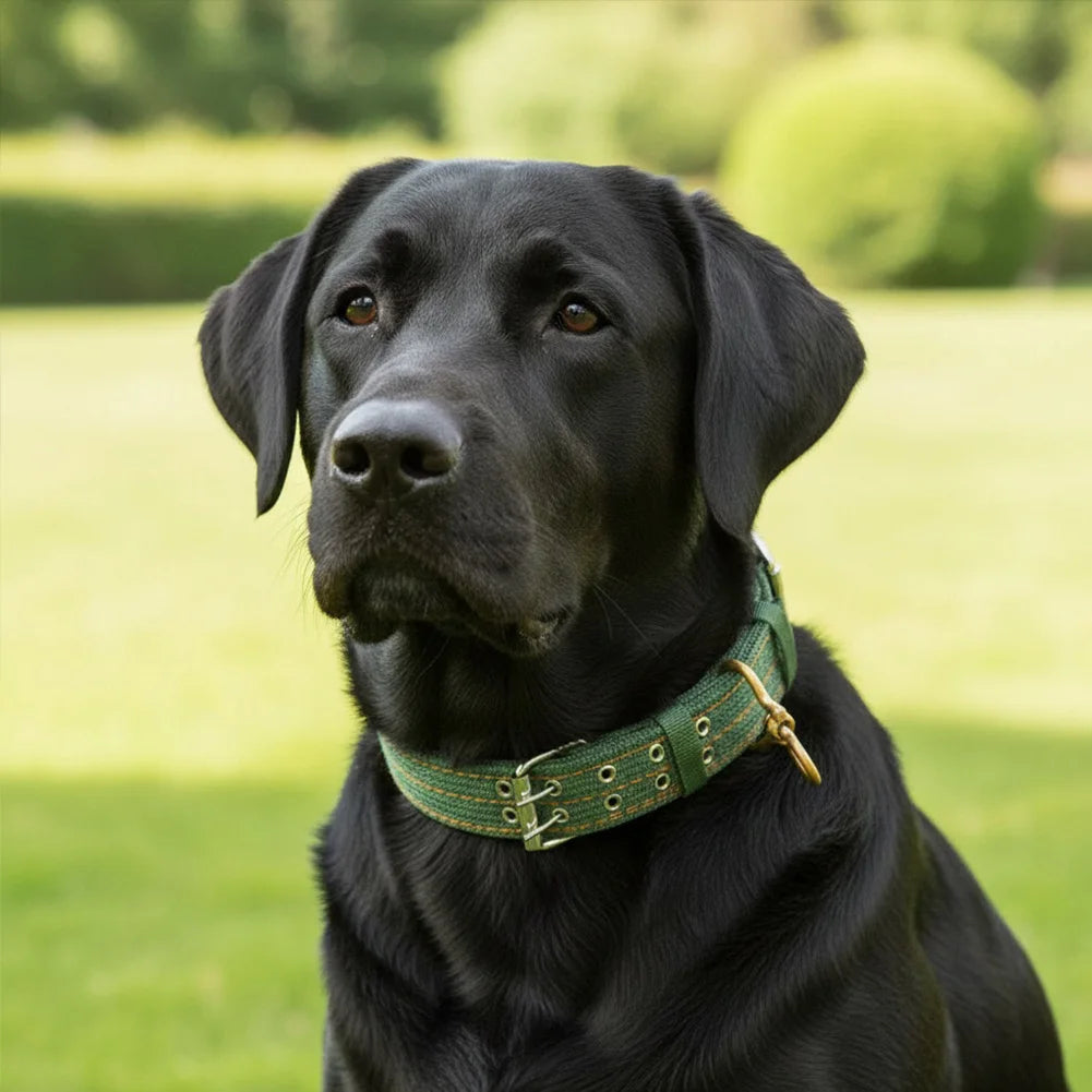 Green Double Breasted Dog Collar Adjustable Thickened Double Row Stainless Steel for Medium Large Dogs