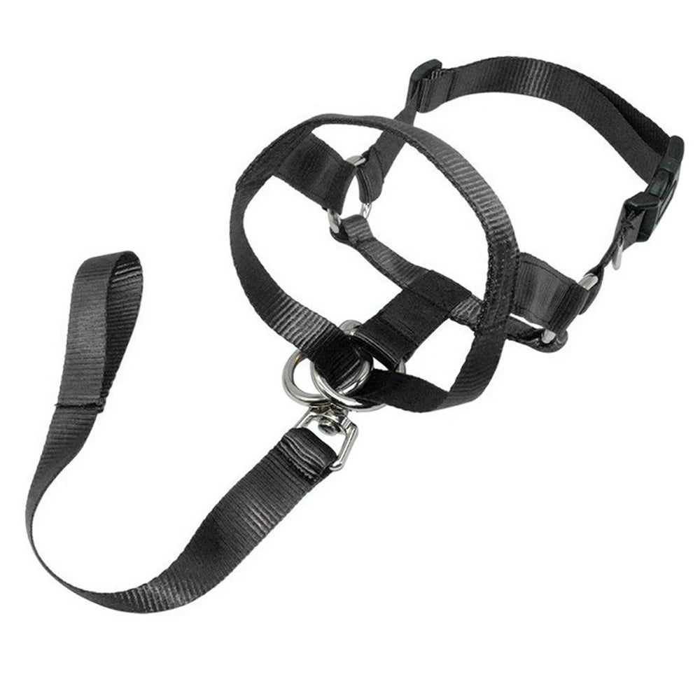 Dog Halter Head Collar Halti Training Gentle Leader Nylon S-XXL Adjustable for All Dog Sizes