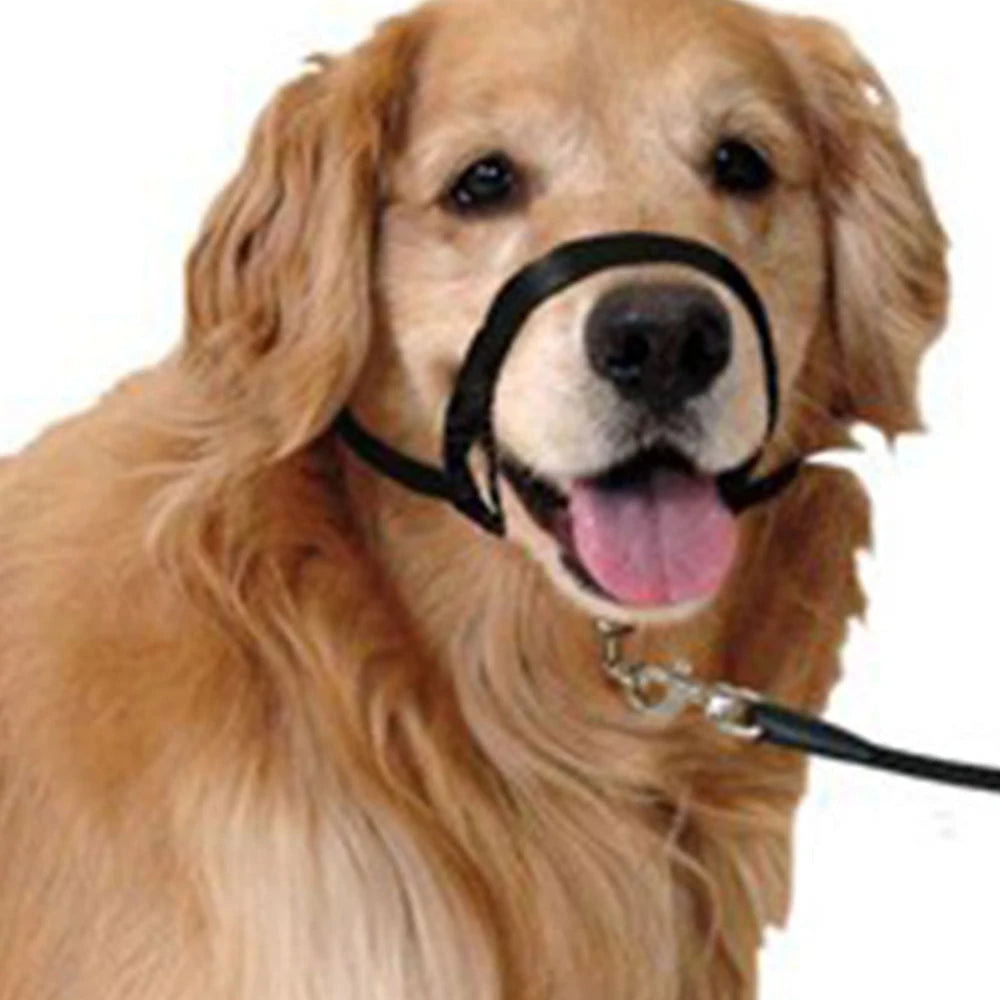 Dog Halter Head Collar Halti Training Gentle Leader Nylon S-XXL Adjustable for All Dog Sizes