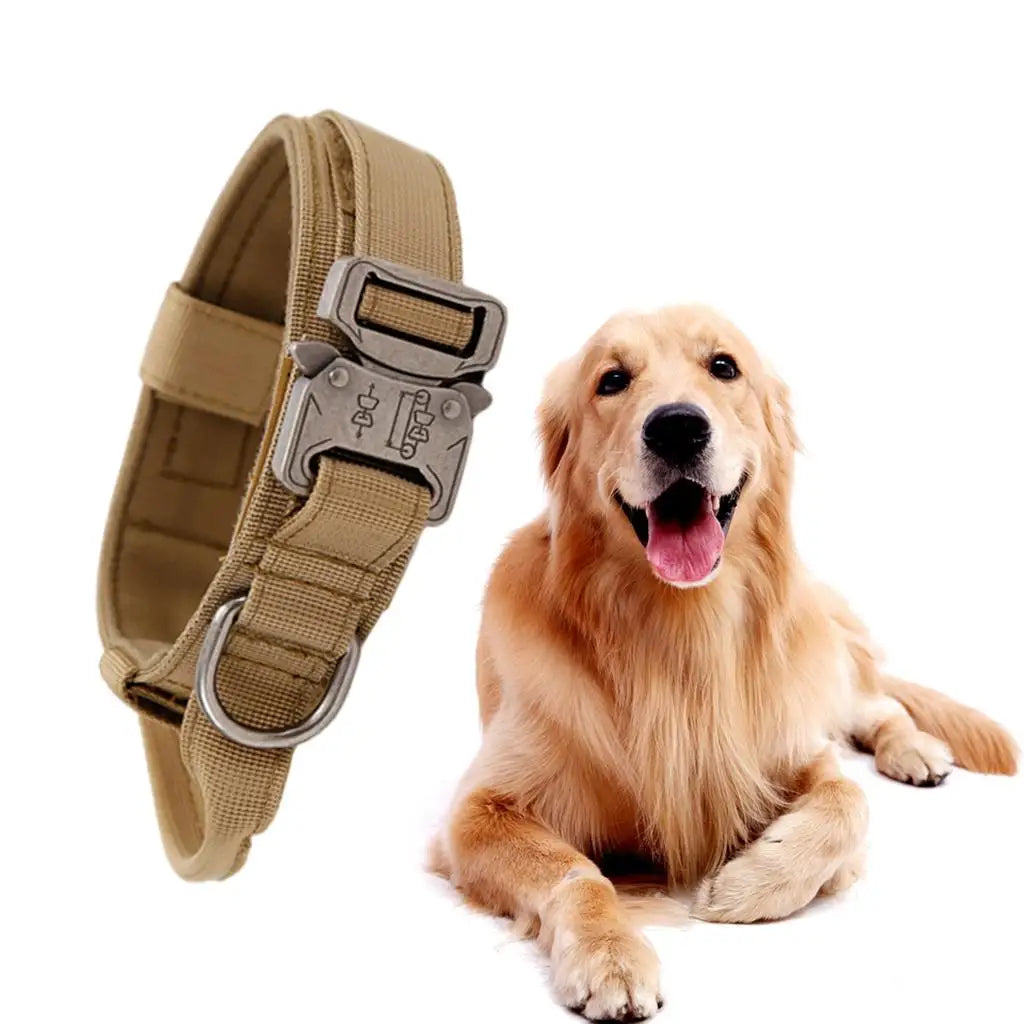 Breathable Nylon Dog Collar Outdoor Training Kit M-XL Sizes for Medium Large Breed Dogs