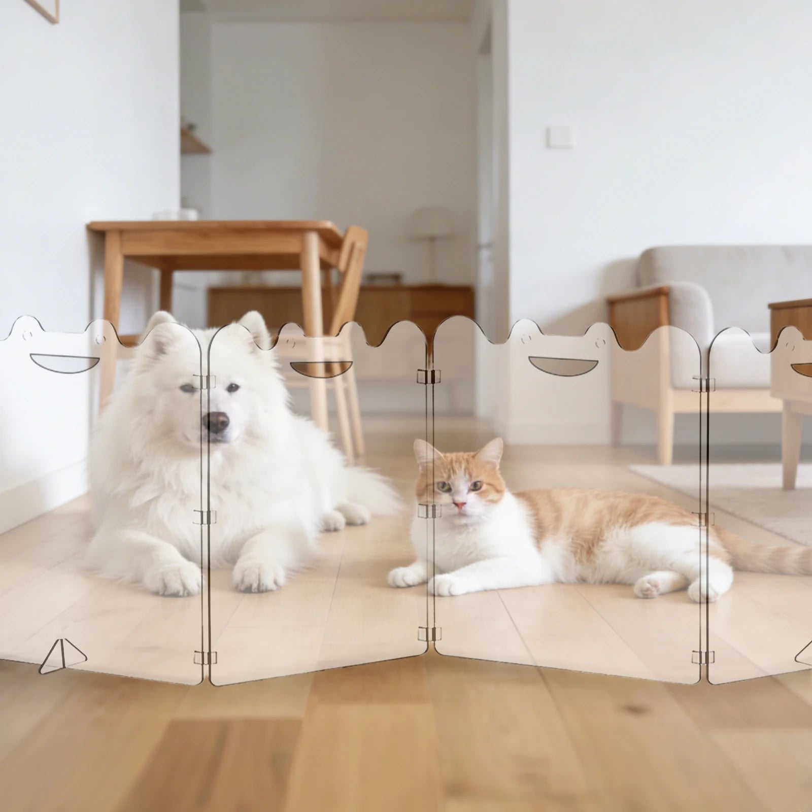 Clear Acrylic Dog Gate 4 or 6 Panel Folding Transparent Barrier with Handles for Small Dogs Indoor Stairs