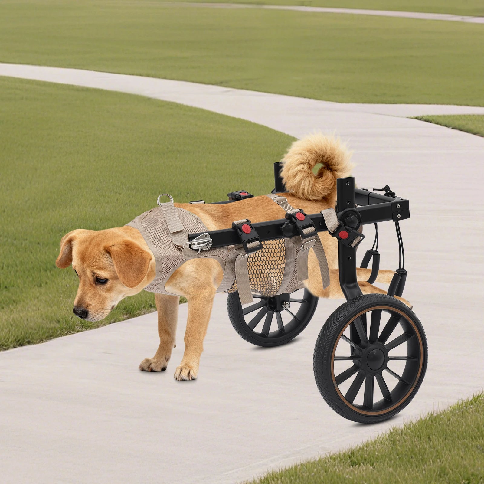 Adjustable Dog Wheelchair Hind Leg Rehabilitation Walker Aluminium Alloy L XL XXL for Senior Disabled Dogs