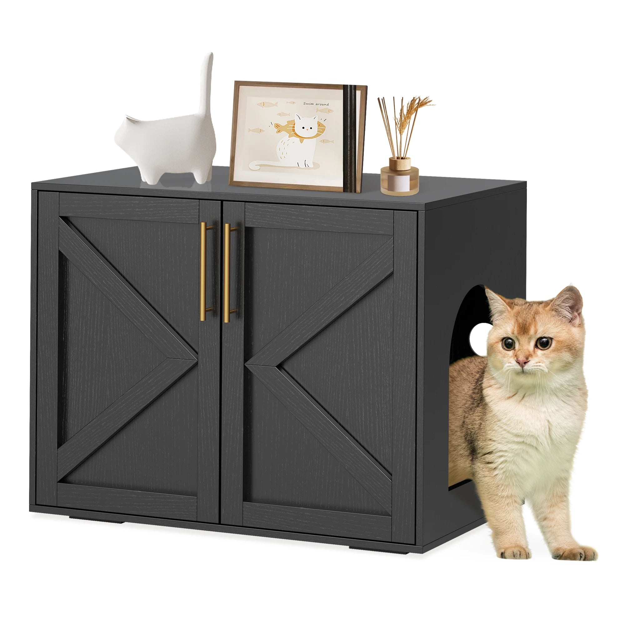Hidden Cat Litter Box Enclosure, Barn Door Cabinet & End Table