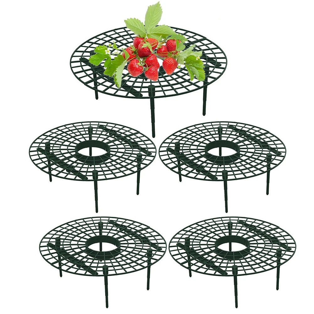 Strawberry Support Stand 4 Legs 30x9cm Plastic Vegetable Growing Rack for Berries Tomatoes Lettuce Garden