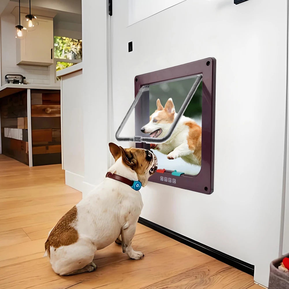 Puppy Kitten Cat Flap Door 4 Way Lock Weatherproof Transparent S-XL Sizes for Cats Small Dogs