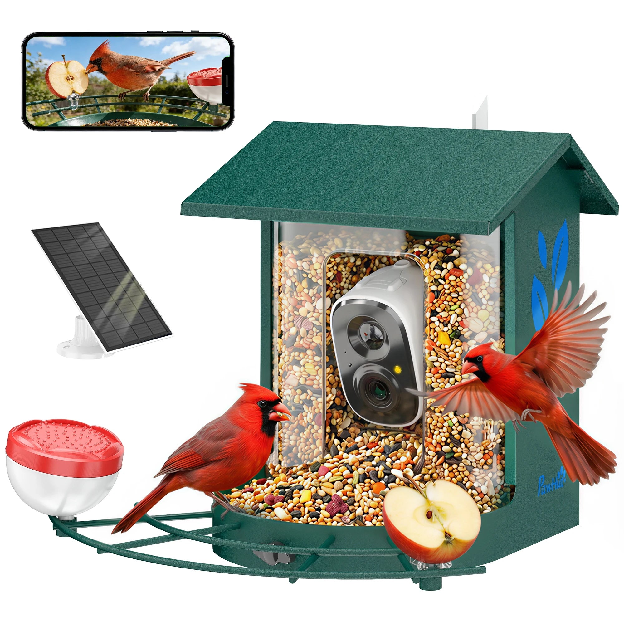 Smart Bird Feeder with 2K AI Camera Identifies 16000+ Bird Species Solar Powered with 32GB SD Card and Cloud Storage