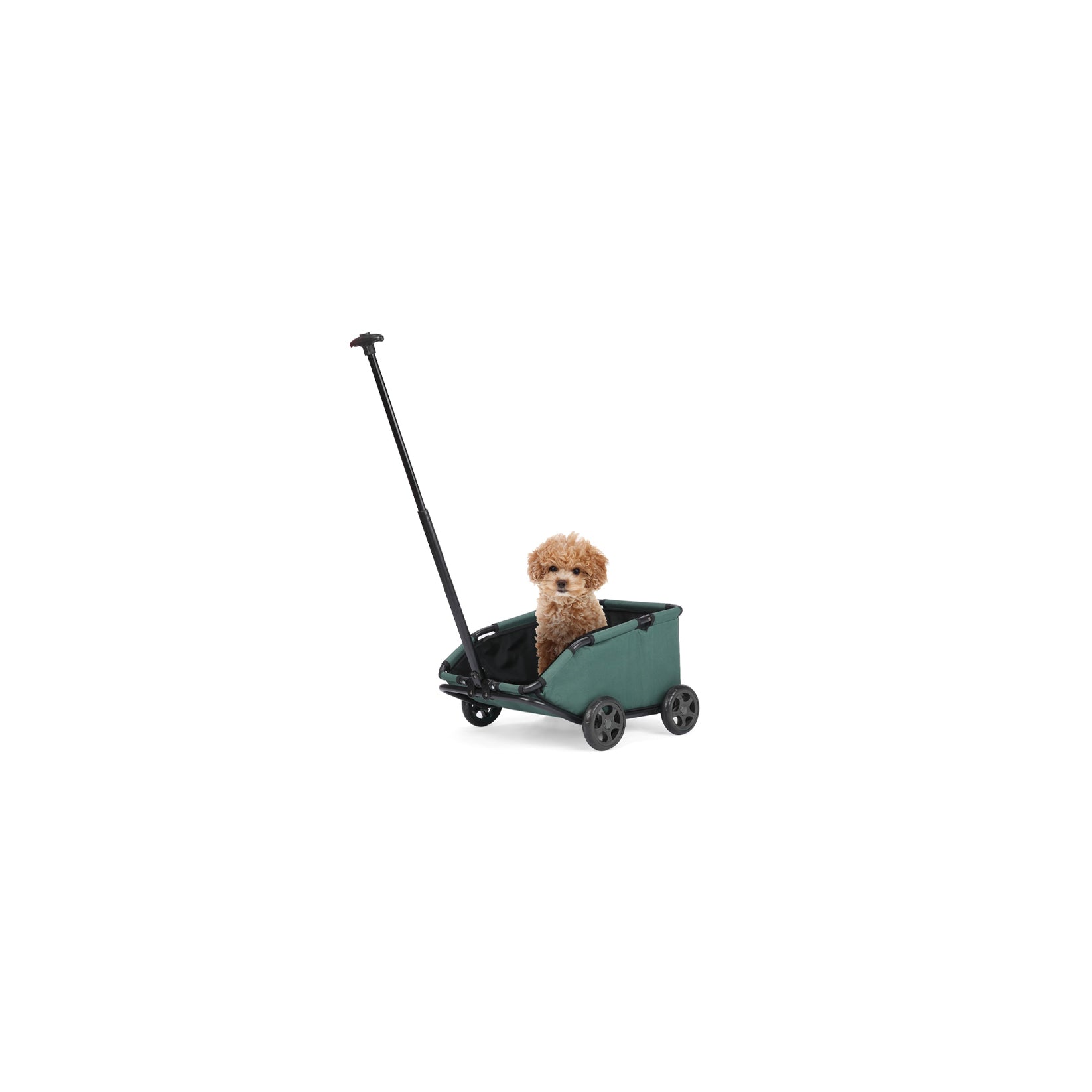 Dog Carriers & Strollers