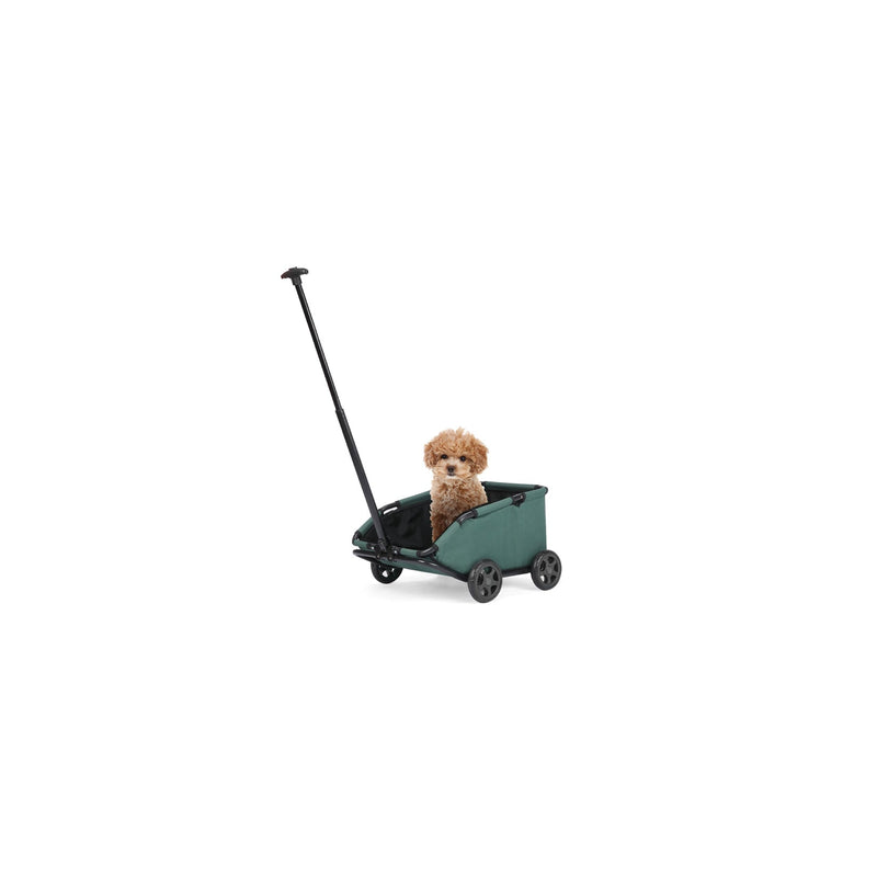 Dog Carriers & Strollers