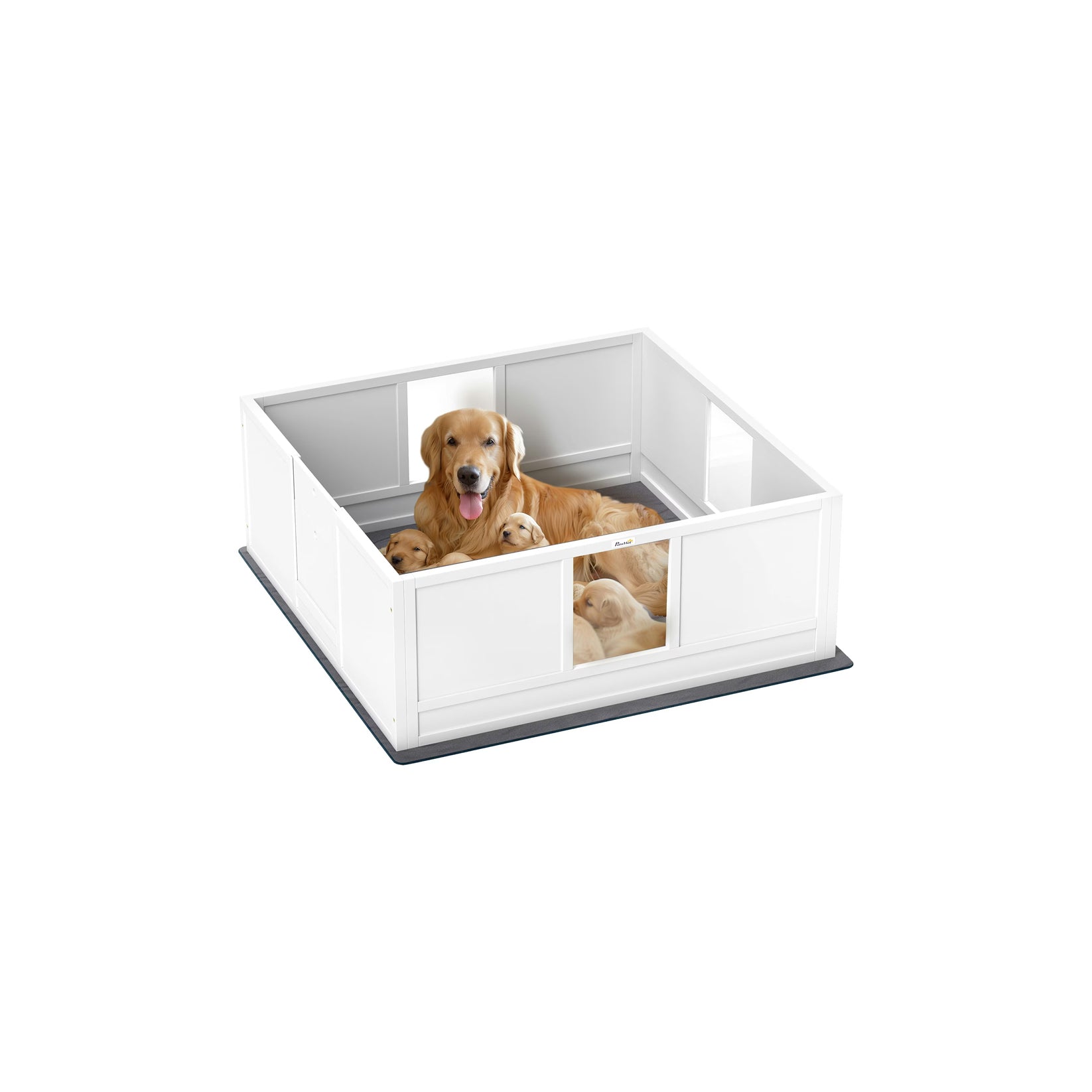 Dog House