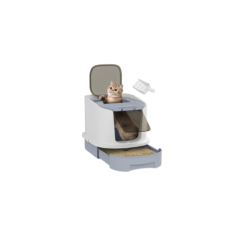 Litter Boxes