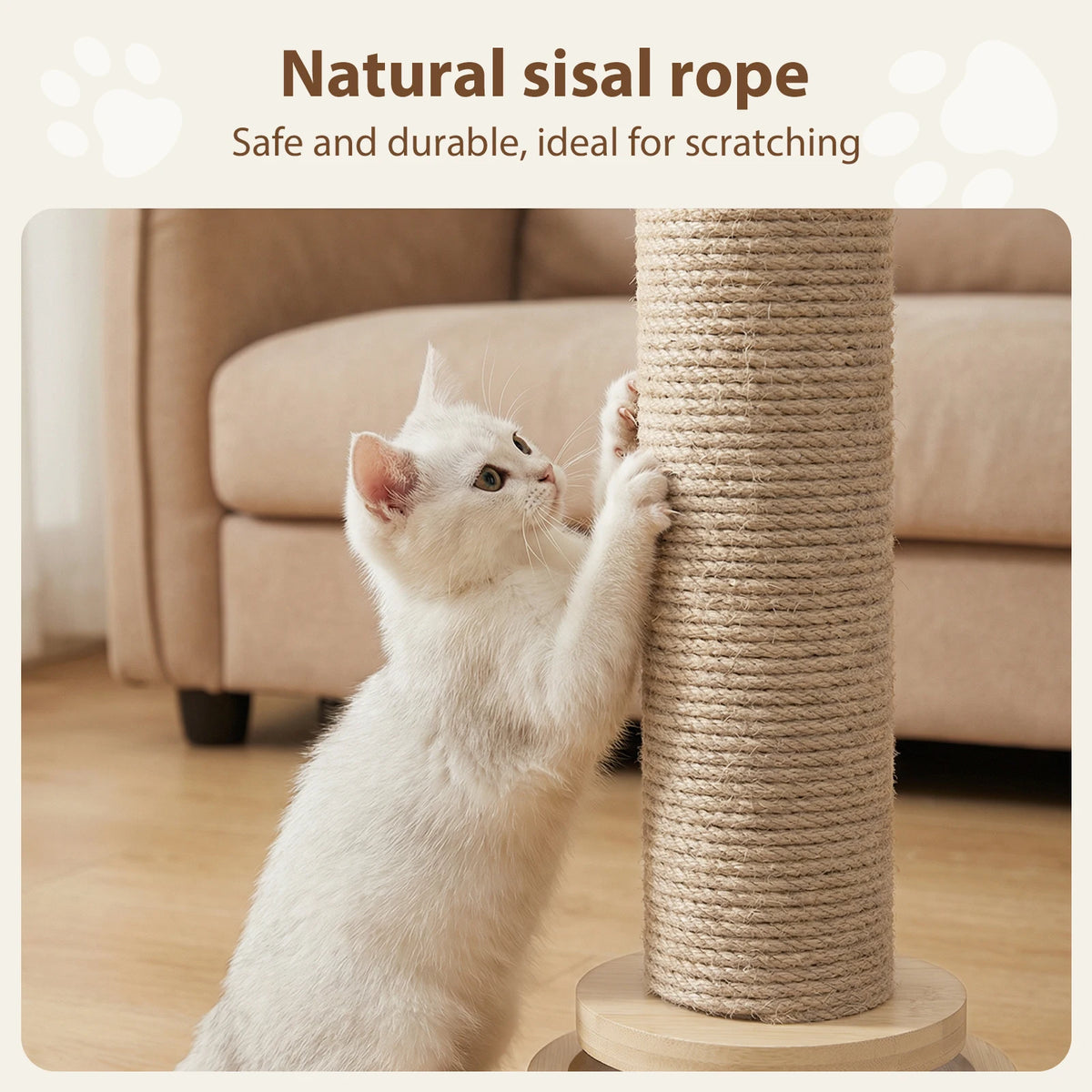 Cat Scratching Post 46cm with Natural Sisal Track Ball Spring Feather and Play Platform Pine Wood