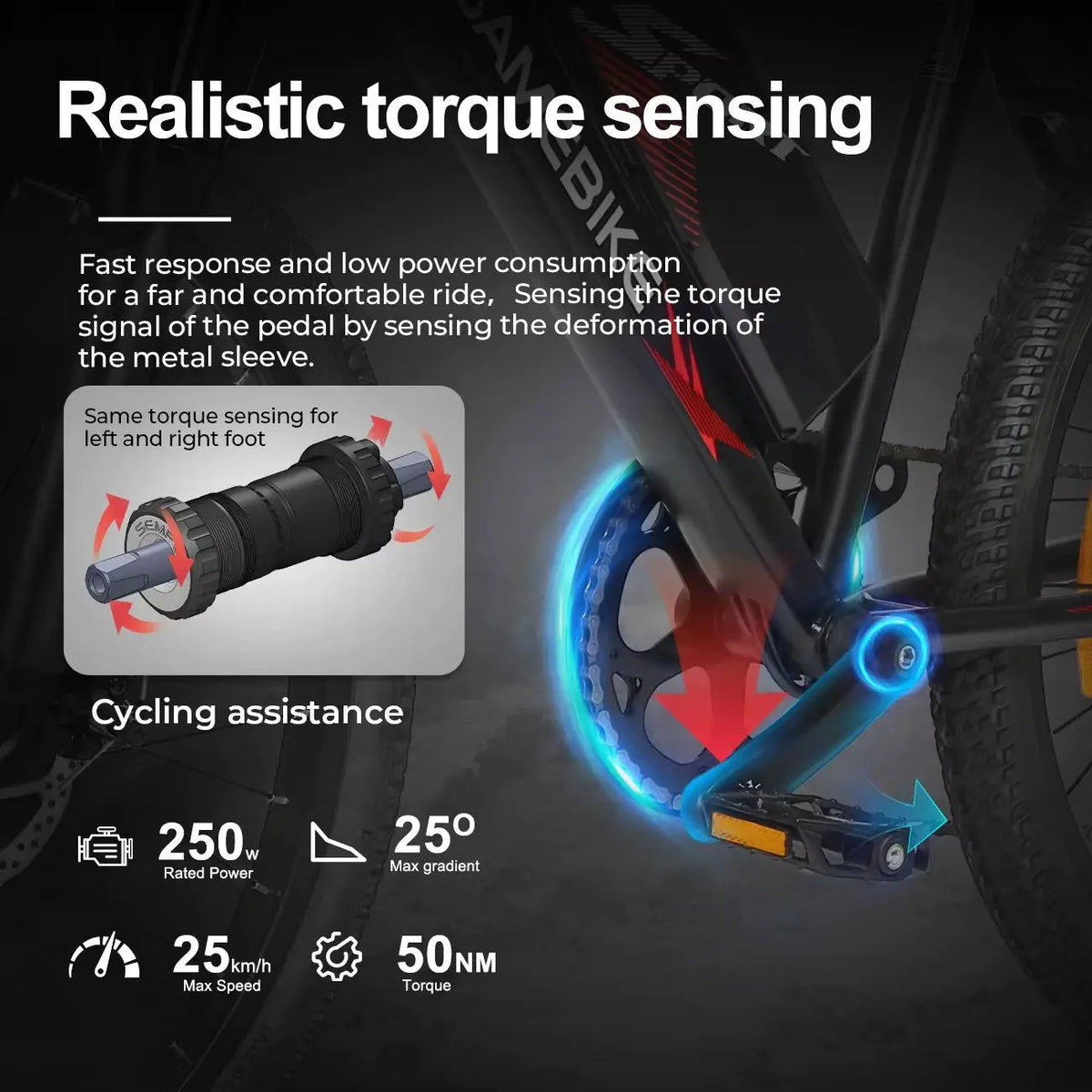 EBE2 24 Inch Electric Mountain Bike with Torque Sensor, 36V 13Ah Removable Battery and Shimano 7-Speed