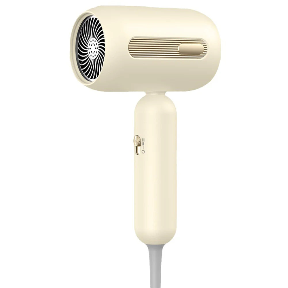 1900W Ionic Hair Dryer with Constant Temperature and Concentrator Nozzle, Ivory