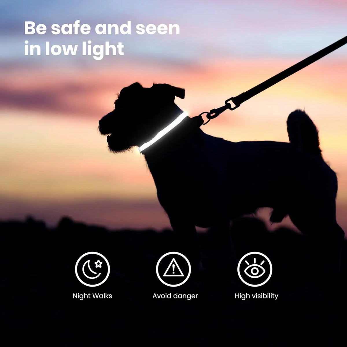 LED Dog Collar Rechargeable Night Safety Flashing Glow Nylon Waterproof for Puppies Dogs