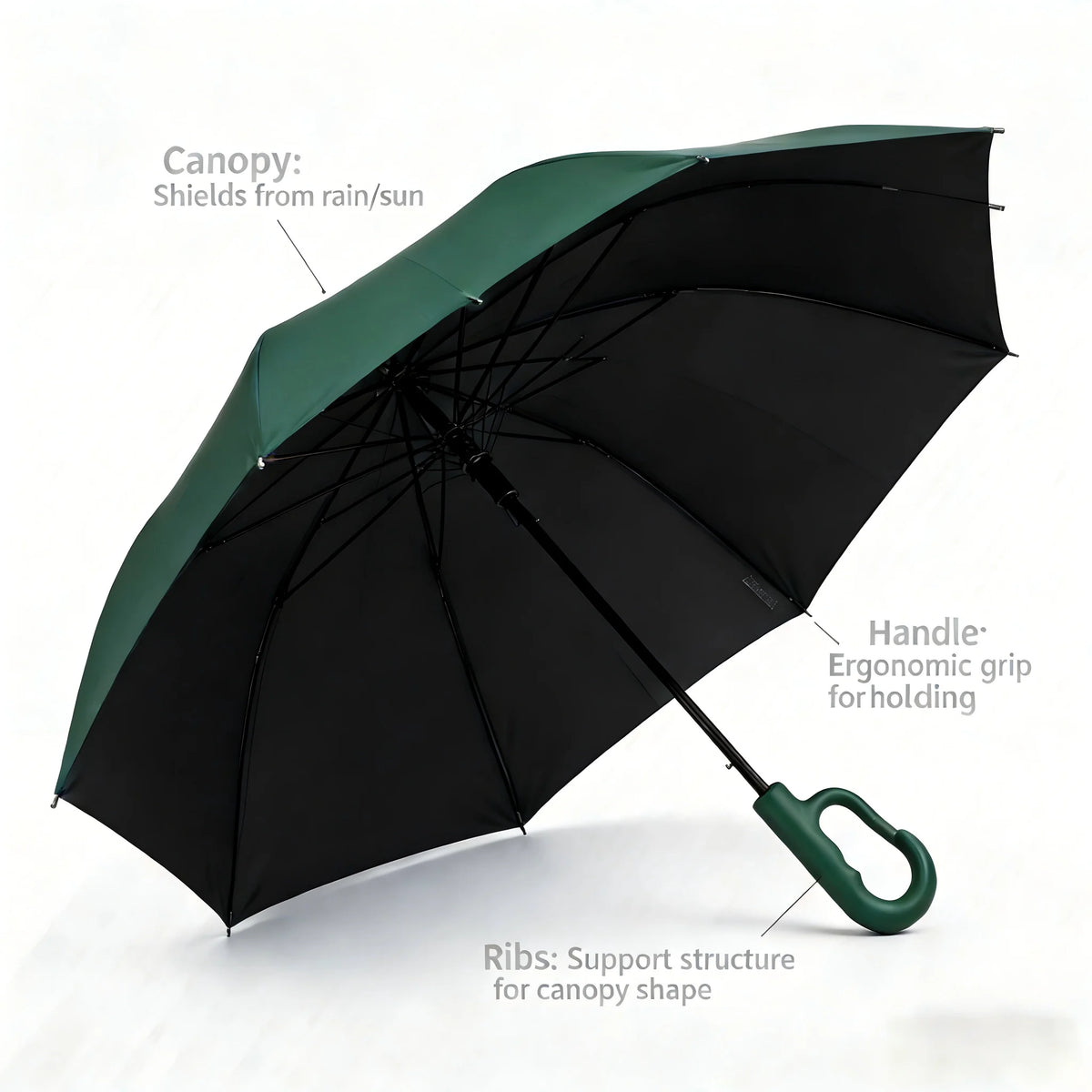 Compact Windproof Travel Umbrella with Auto Open and Close, 9 Fibreglass Ribs