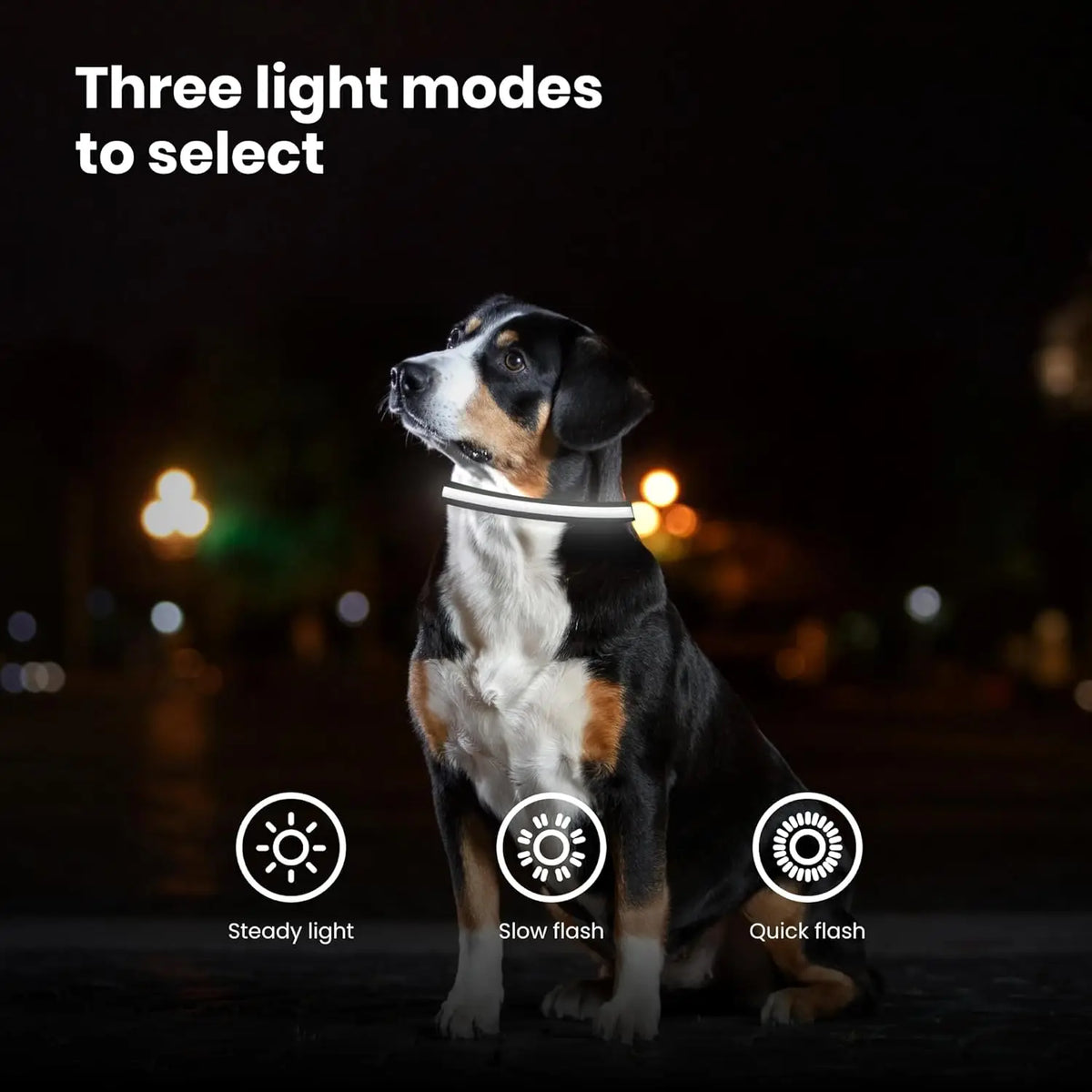 LED Dog Collar Rechargeable Night Safety Flashing Glow Nylon Waterproof for Puppies Dogs