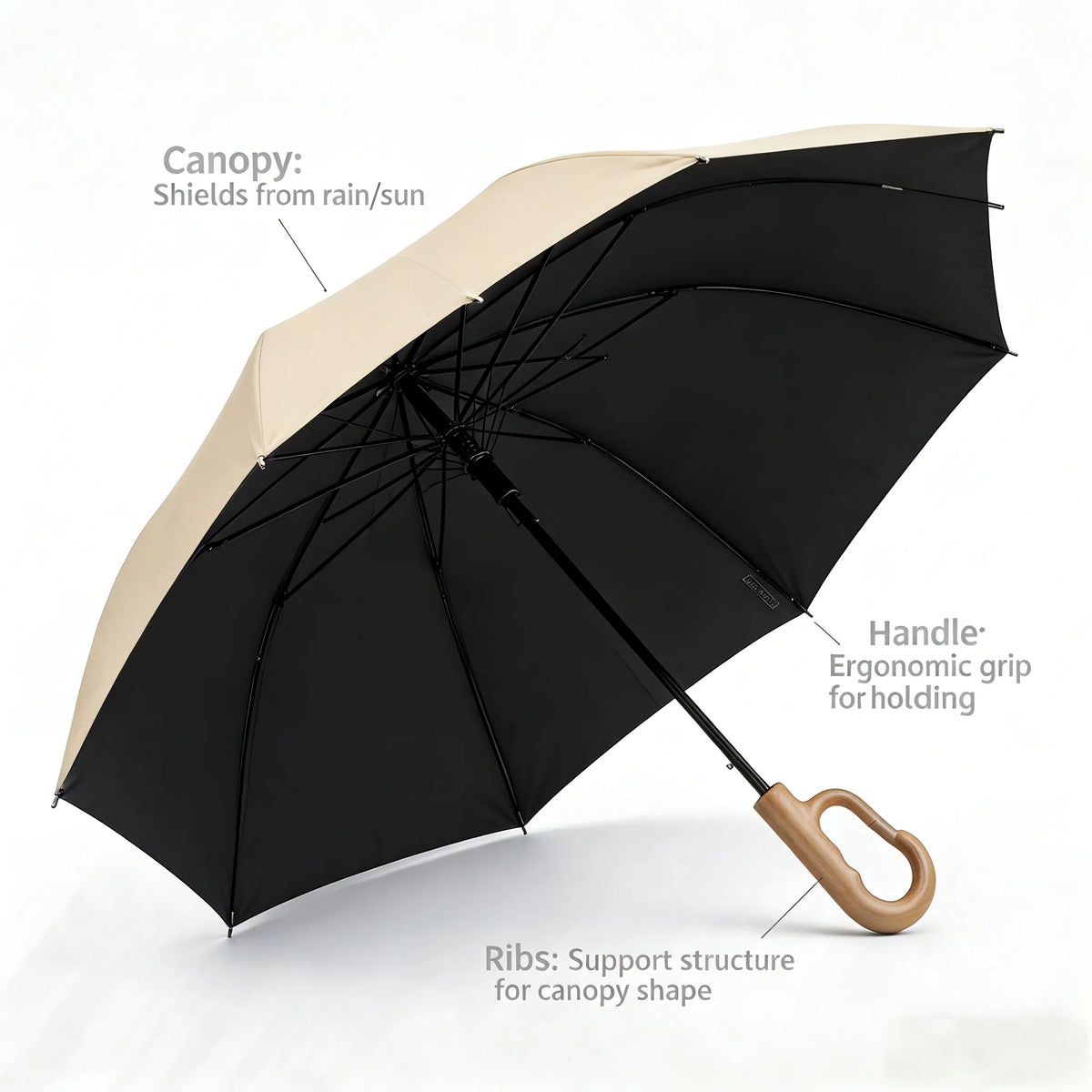 Compact Windproof Travel Umbrella with Auto Open and Close, 9 Fibreglass Ribs