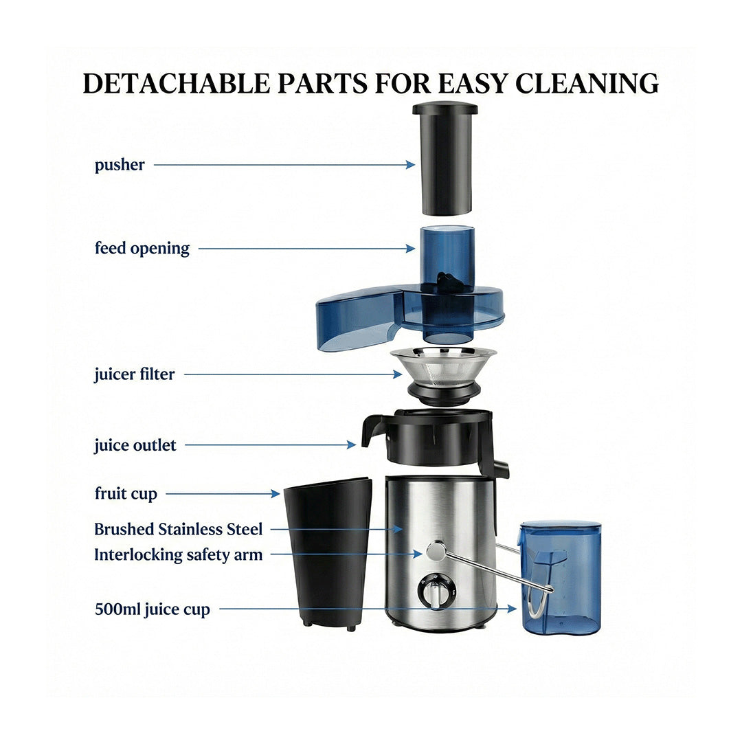 DayPlus Centrifugal Juicer Machine | 300W 2-Speed Juice Extractor for Fruits, Vegetables & Citrus