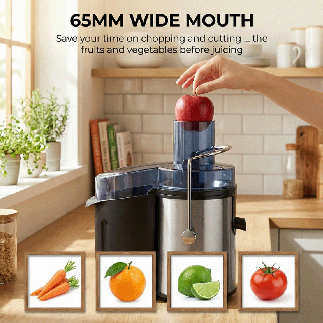 DayPlus Centrifugal Juicer Machine | 300W 2-Speed Juice Extractor for Fruits, Vegetables & Citrus