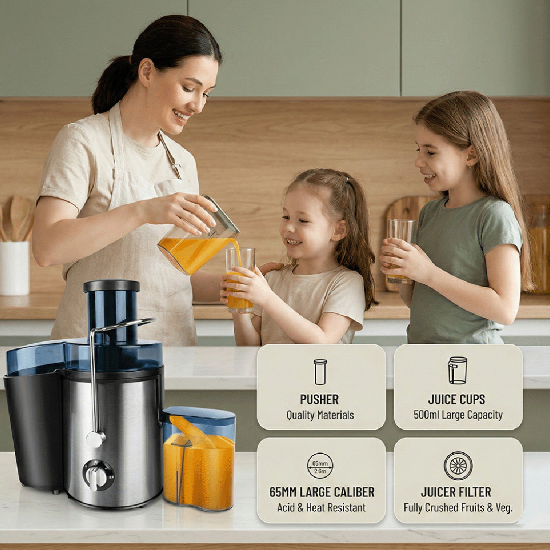 DayPlus Centrifugal Juicer Machine | 300W 2-Speed Juice Extractor for Fruits, Vegetables & Citrus