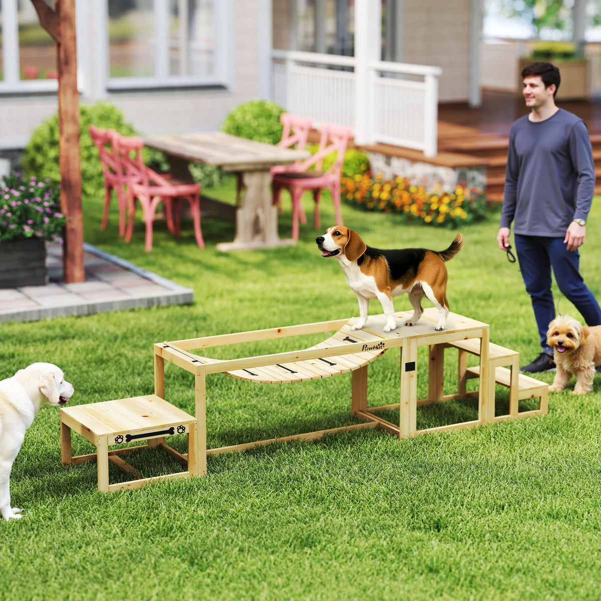 3-Piece Wooden Dog Agility Set with Bridge, Platform and Stairs