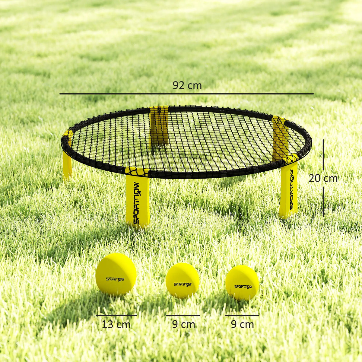 Spike Game Set with Net, 3 Balls, Pump and Carry Bag