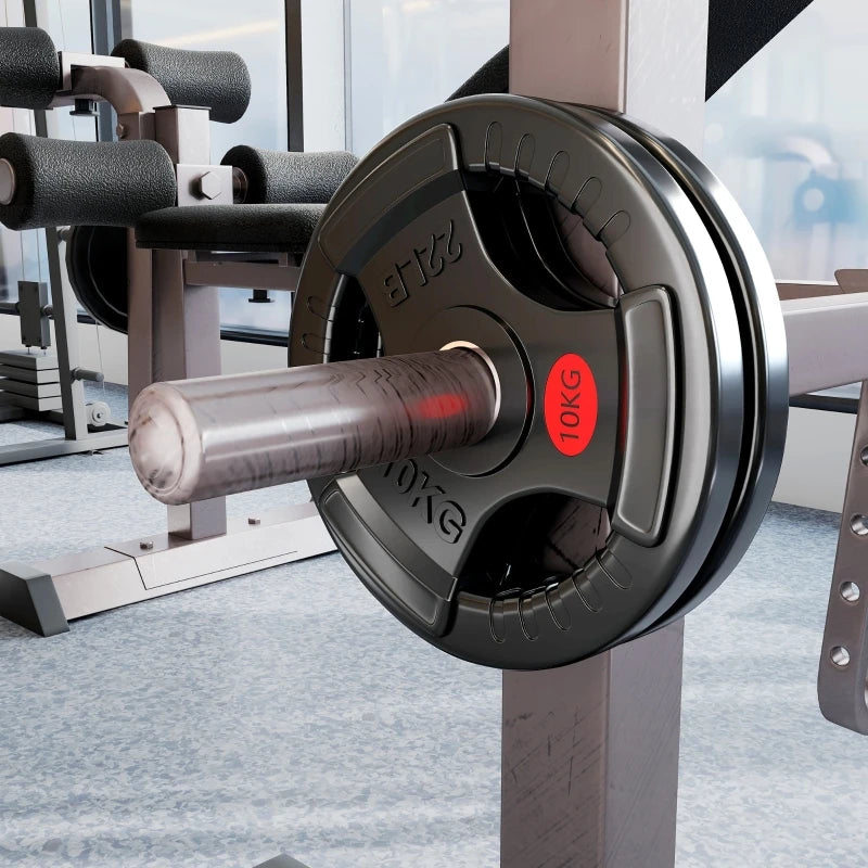 Olympic Weight Plates 2 x 10kg with Tri Grip Handles 5cm Holes Steel 32x32x4.5cm Home Gym Black