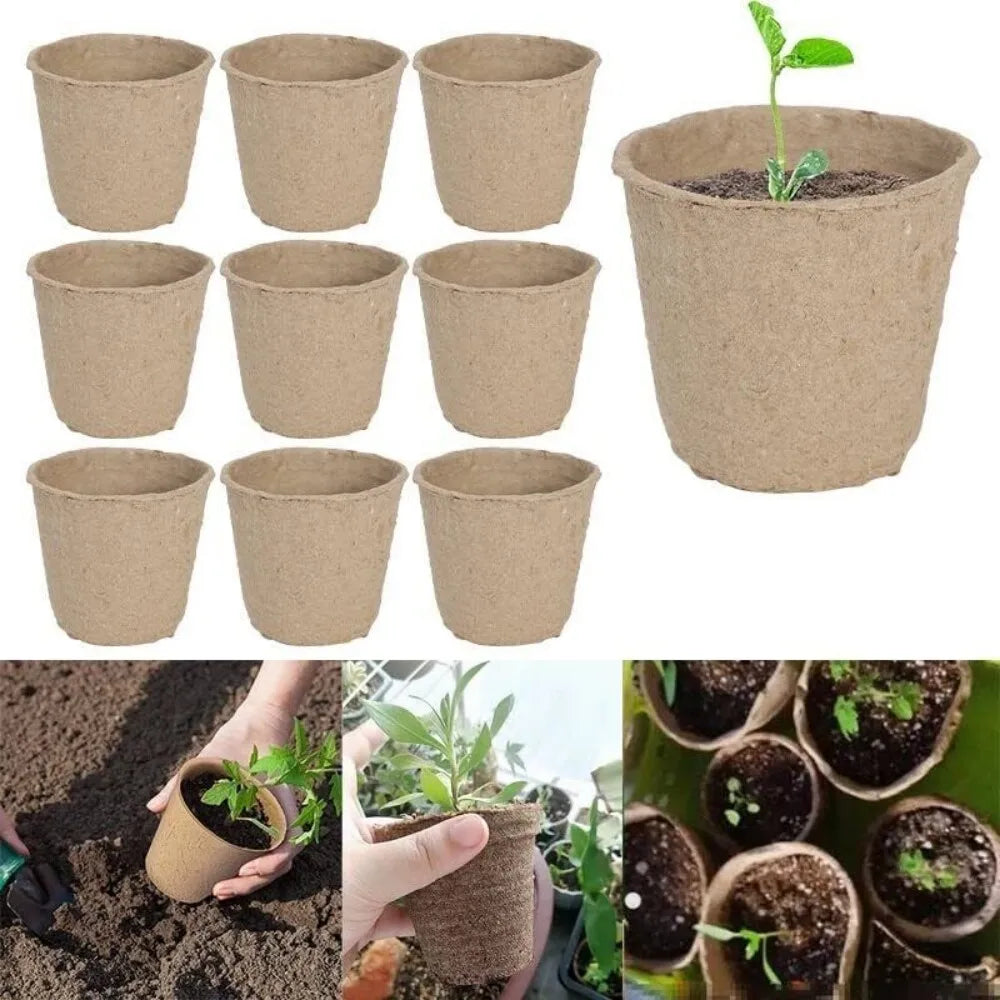 100 or 200 Pack Biodegradable Fibre Seedling Pots 6cm Round Plant Seed Nursery Cups Eco Friendly