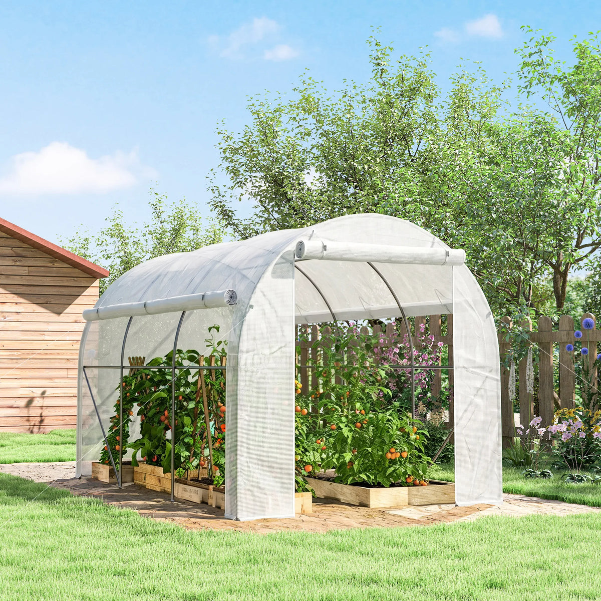 3 x 2m Polytunnel Greenhouse with Roll-Up Door and Mesh Windows, White