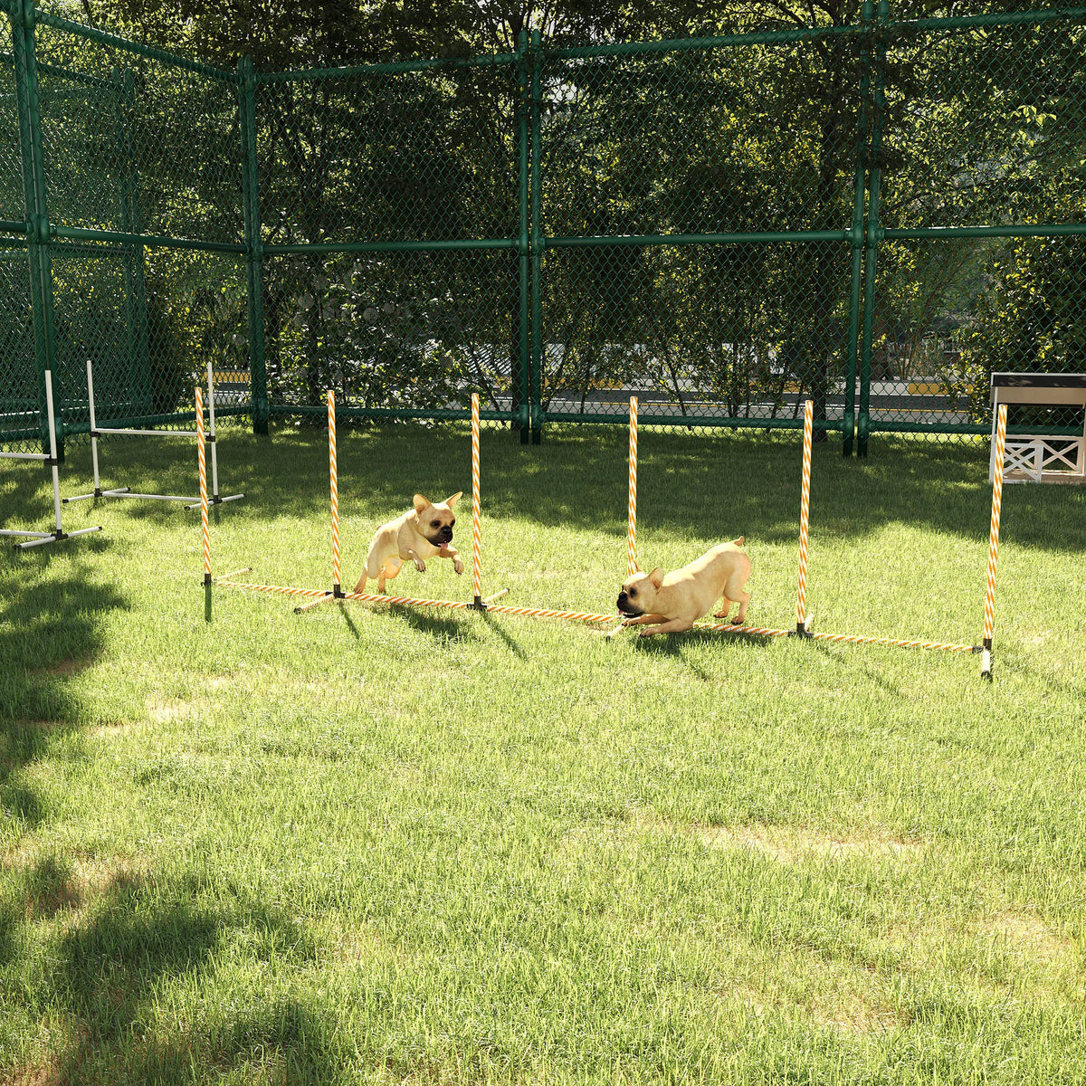 Dog Agility Weave Poles Training Set with Carry Bag and Whistle