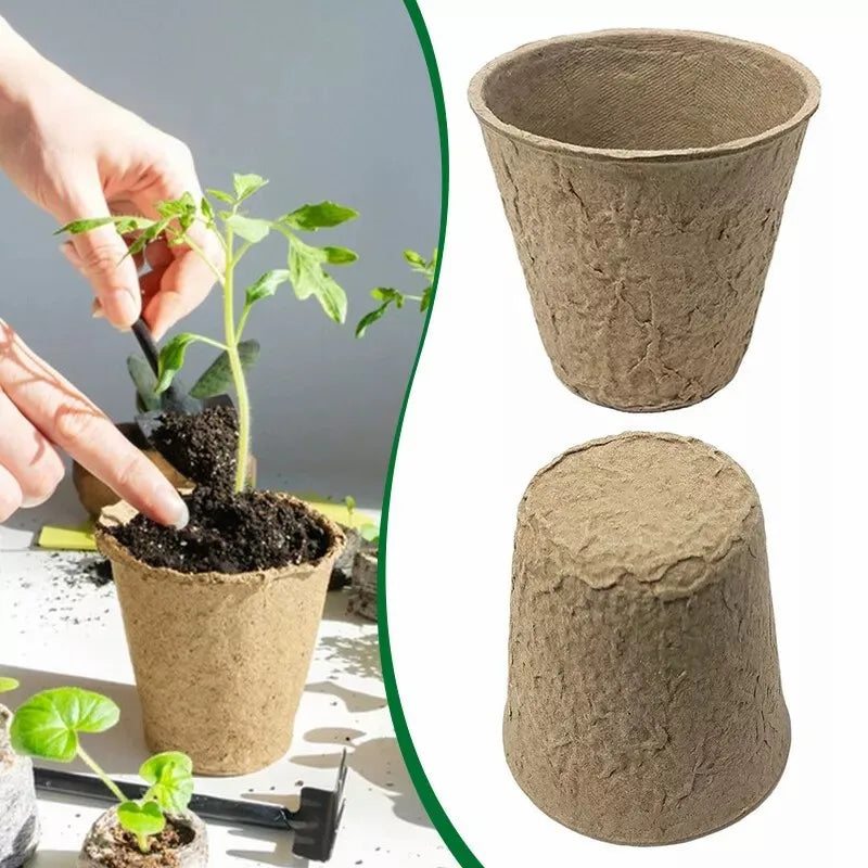 100 or 200 Pack Biodegradable Fibre Seedling Pots 6cm Round Plant Seed Nursery Cups Eco Friendly