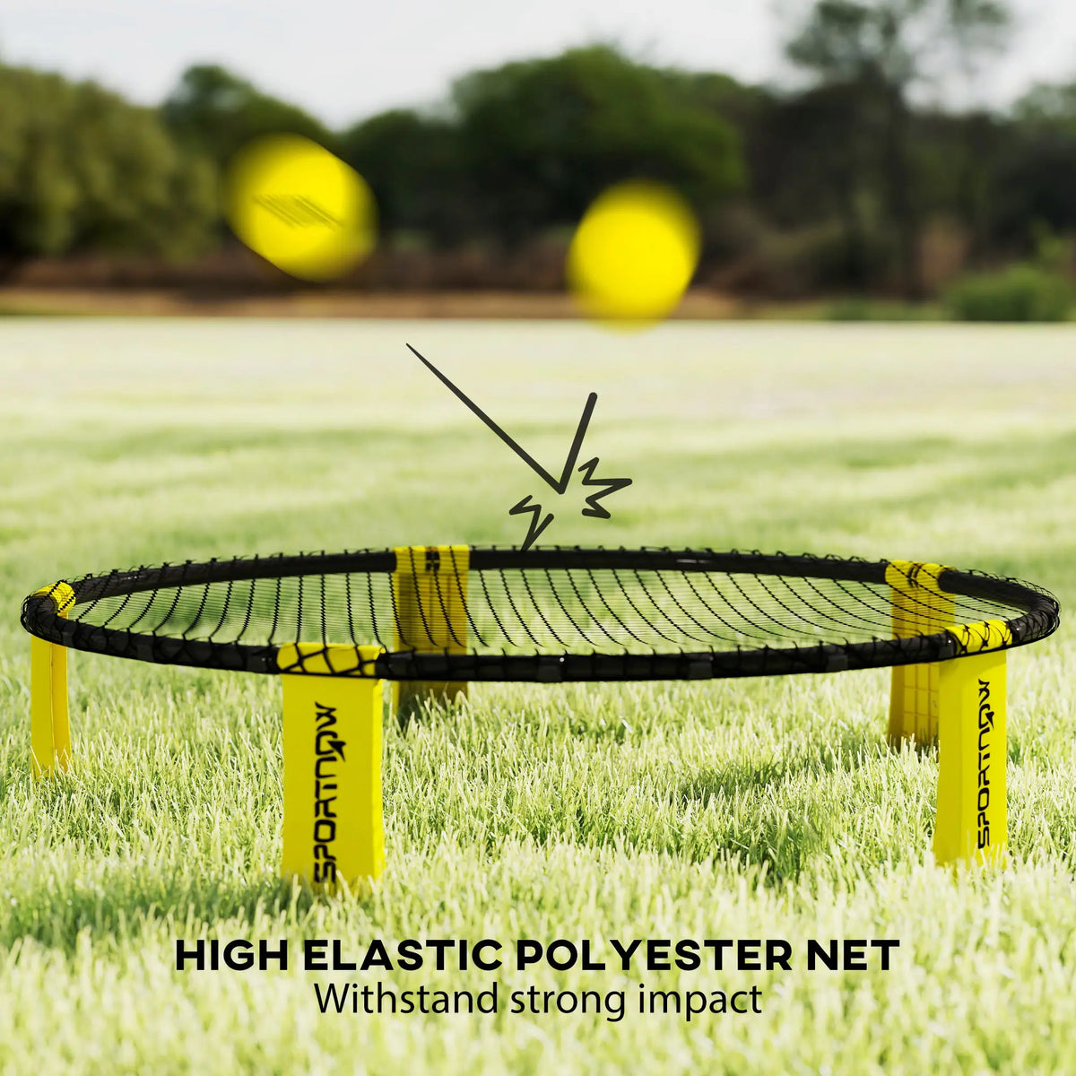 Spike Game Set with Net, 3 Balls, Pump and Carry Bag