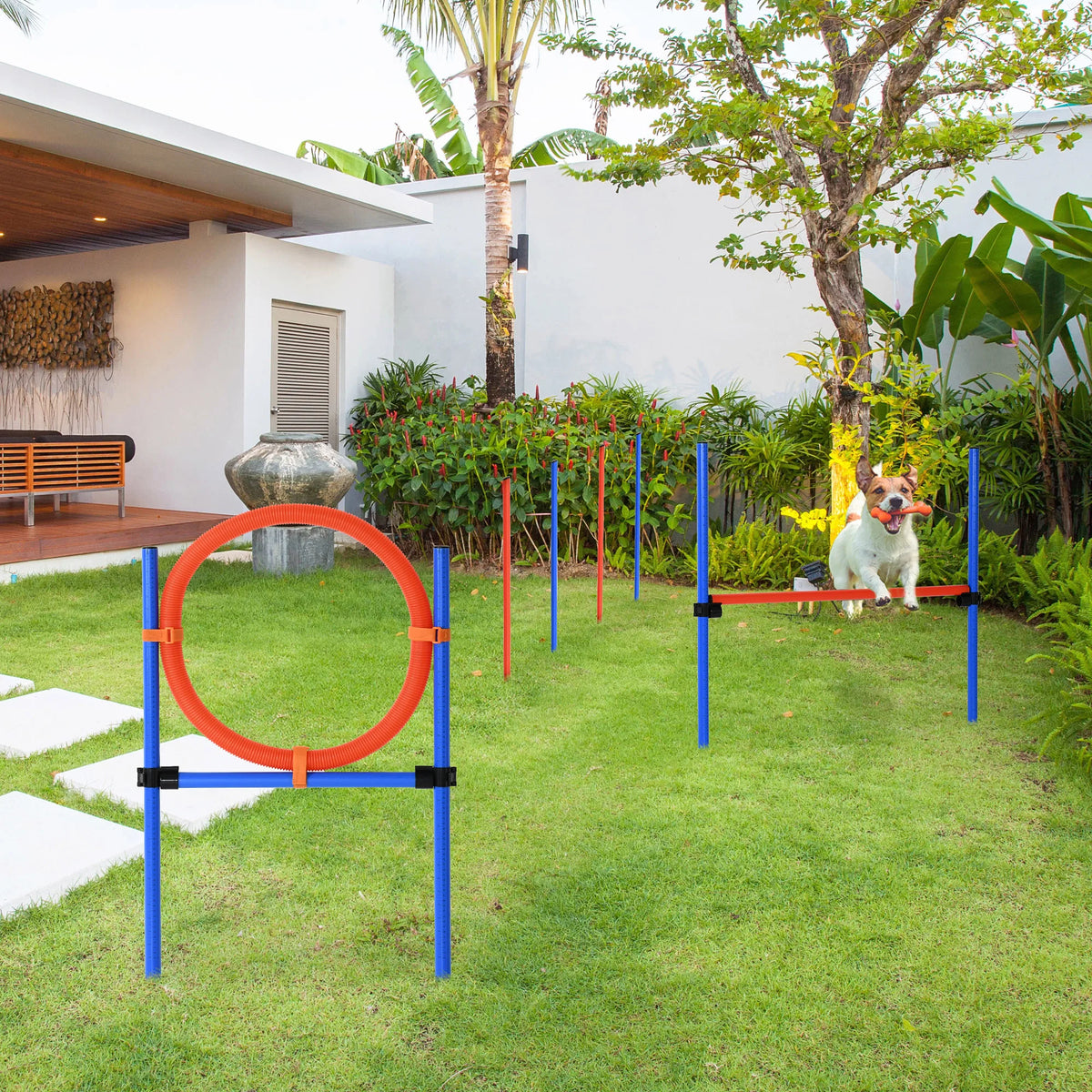 Outdoor Dog Agility Set with Jump, Hoop and Turnstile Poles