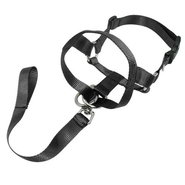 Dog Halter Head Collar Halti Training Gentle Leader Nylon S-XXL Adjustable for All Dog Sizes
