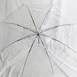 White Star Umbrella
