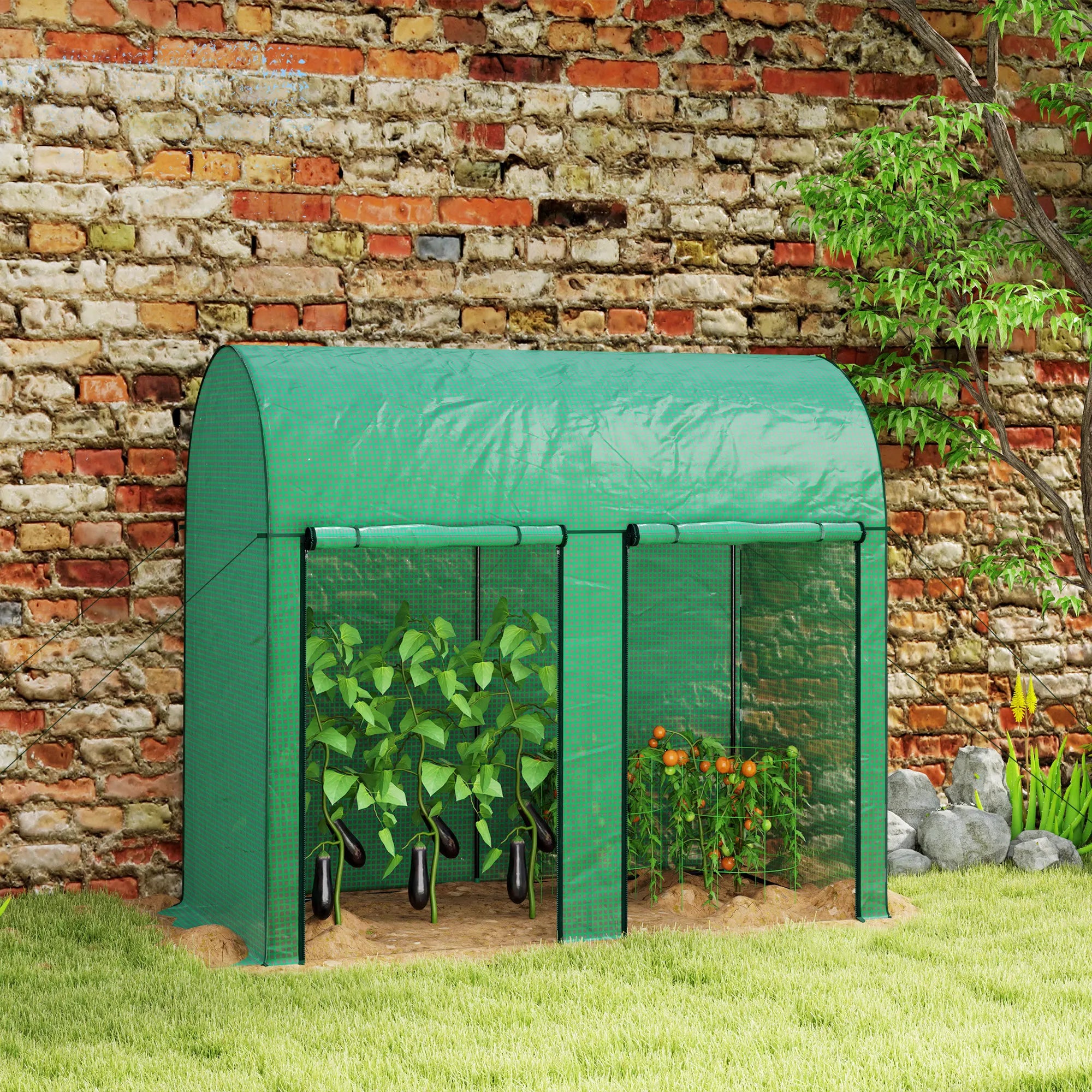 Walk-In Tomato Greenhouse with Arched Top, Roll-Up Doors and Reinforced Plastic Cover