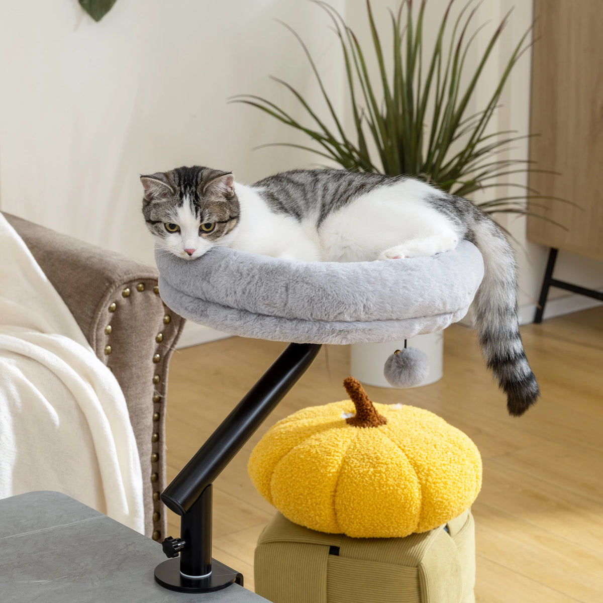 Cat Bed for Desk 360° Rotatable Clamp On Cat Hammock 35x35x48cm Plush Washable with Teaser Ball Grey