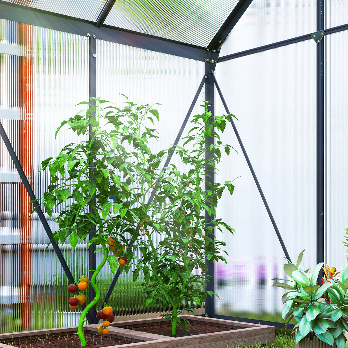 6 x 4ft Polycarbonate Walk-In Greenhouse with Sliding Door and Roof Vent