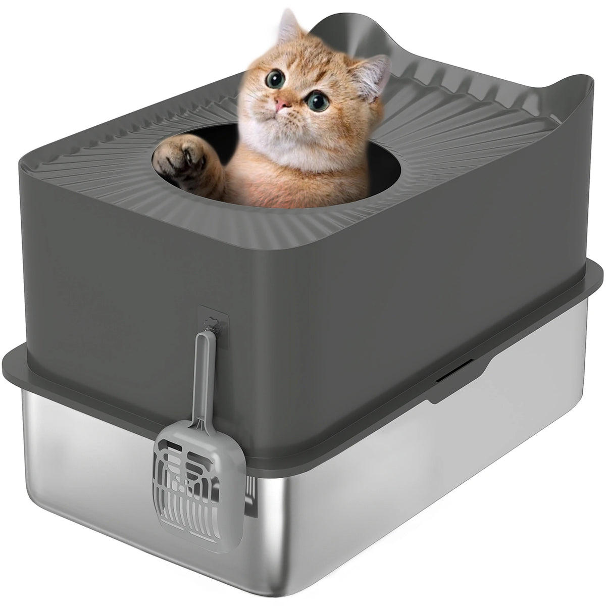 Enclosed Cat Litter Box with Top Entry, Dark Grey