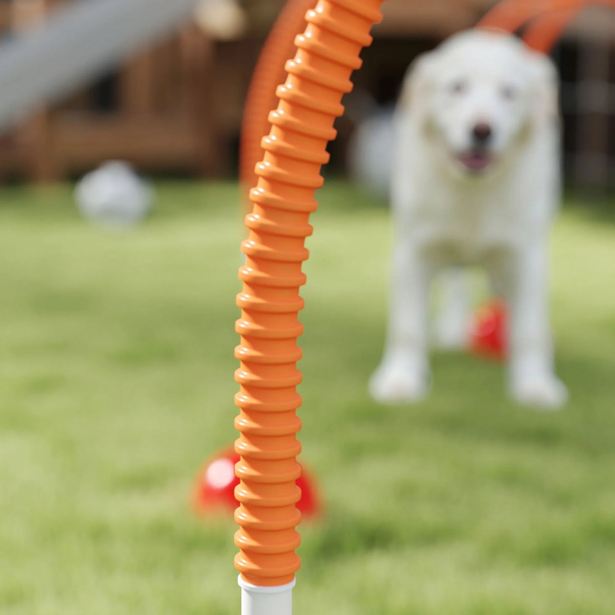 4-Piece Dog Agility Training Set with Adjustable Width Doors and Carry Bag