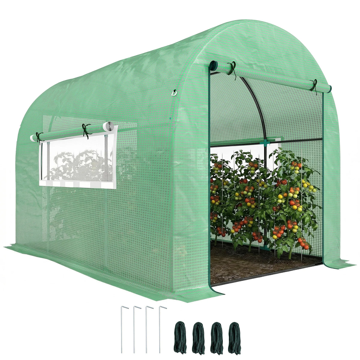 Polytunnel Greenhouse 3x2x2m with UV Resistant PE Cover Roll Up Doors Mesh Windows Ground Stakes Guy Ropes