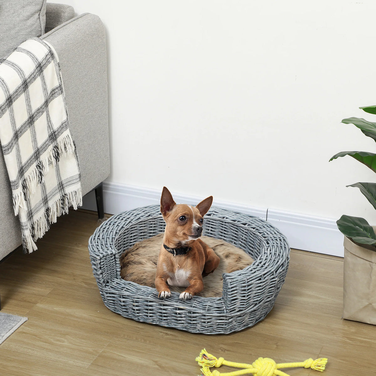 Elevated Wicker Pet Bed 57x46x17.5cm Willow Rattan Basket Sofa with Washable Plush Cushion Grey