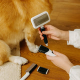 Professional Pet Grooming Set Slicker Brush Detangling Comb Flea Comb for Dogs Cats Coat Care