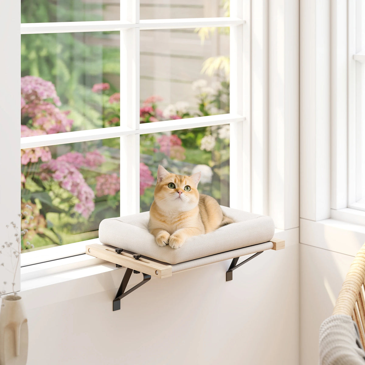Cat Radiator Bed, Adjustable Hanging Cat Hammock with Cushion, Cream