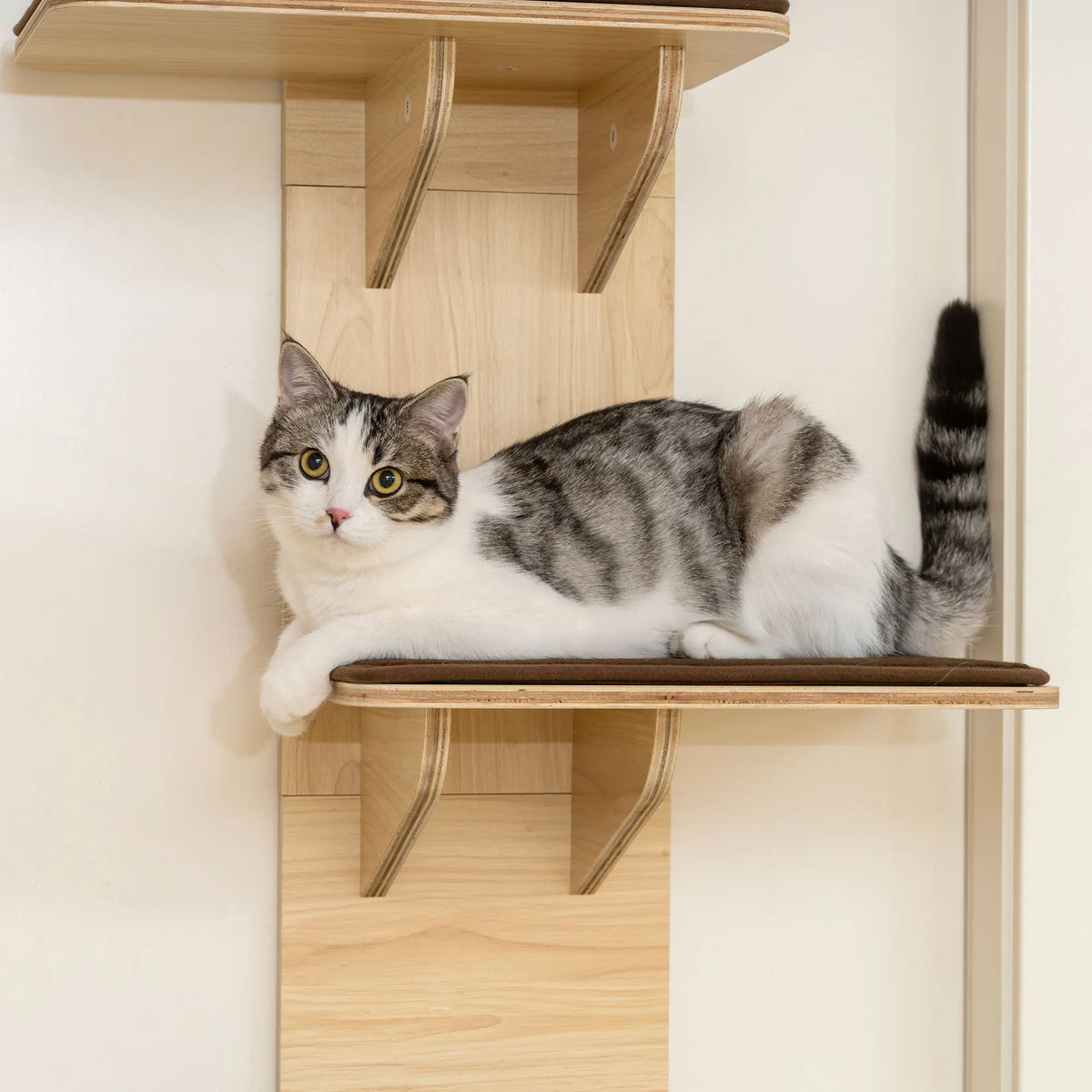 PawHut 4 Level Door Mounted Cat Tree Washable Plush Pads Toy Ball Oak Brown