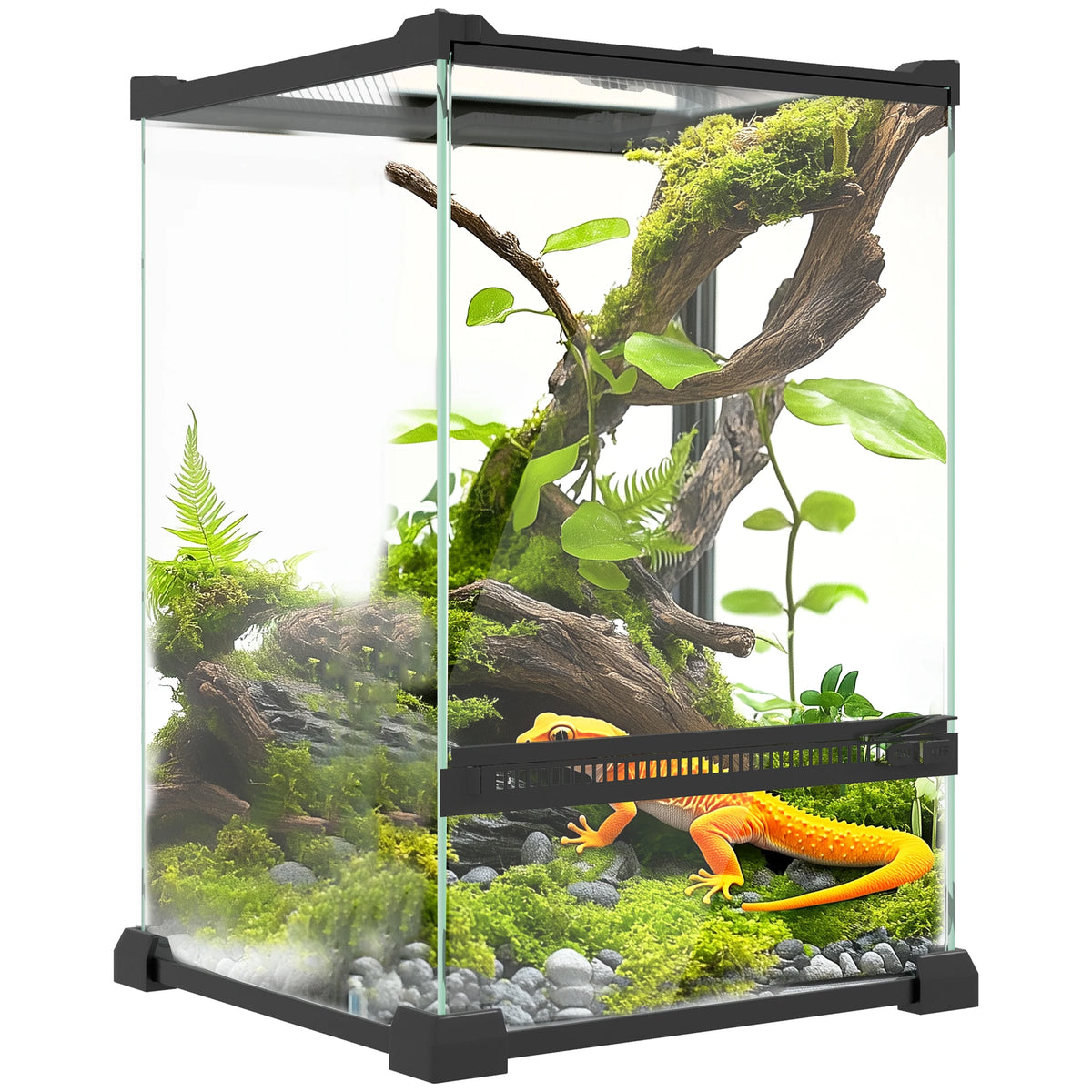 Glass Reptile Terrarium with Mesh Lid, Vivarium for Lizards, Frogs and Tortoises