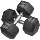 2x12.5kg Rubber Hex Dumbbell Set 25kg Total Steel Knurled Handle Non-Roll for Home Gym Strength Training