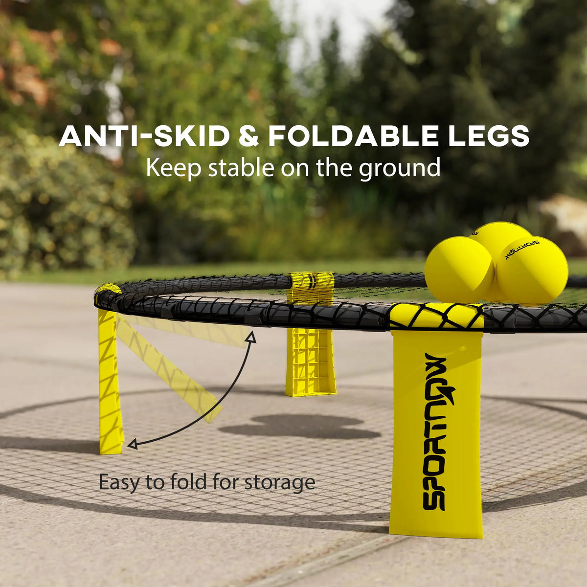 Spike Game Set with Net, 3 Balls, Pump and Carry Bag