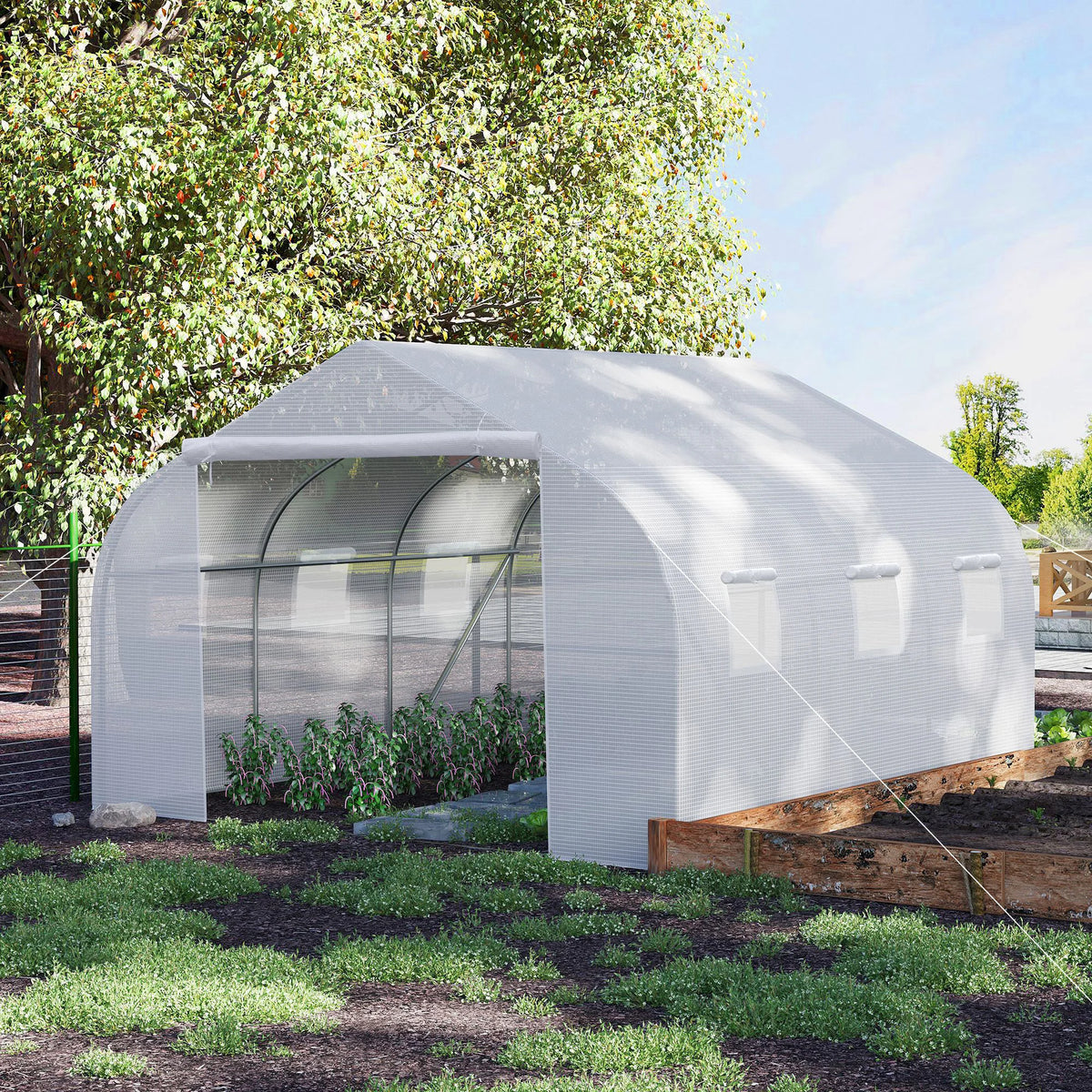 Walk-In Polytunnel Greenhouse, Warm House Garden Tunnel Shelter Plant Shed with Door and Windows