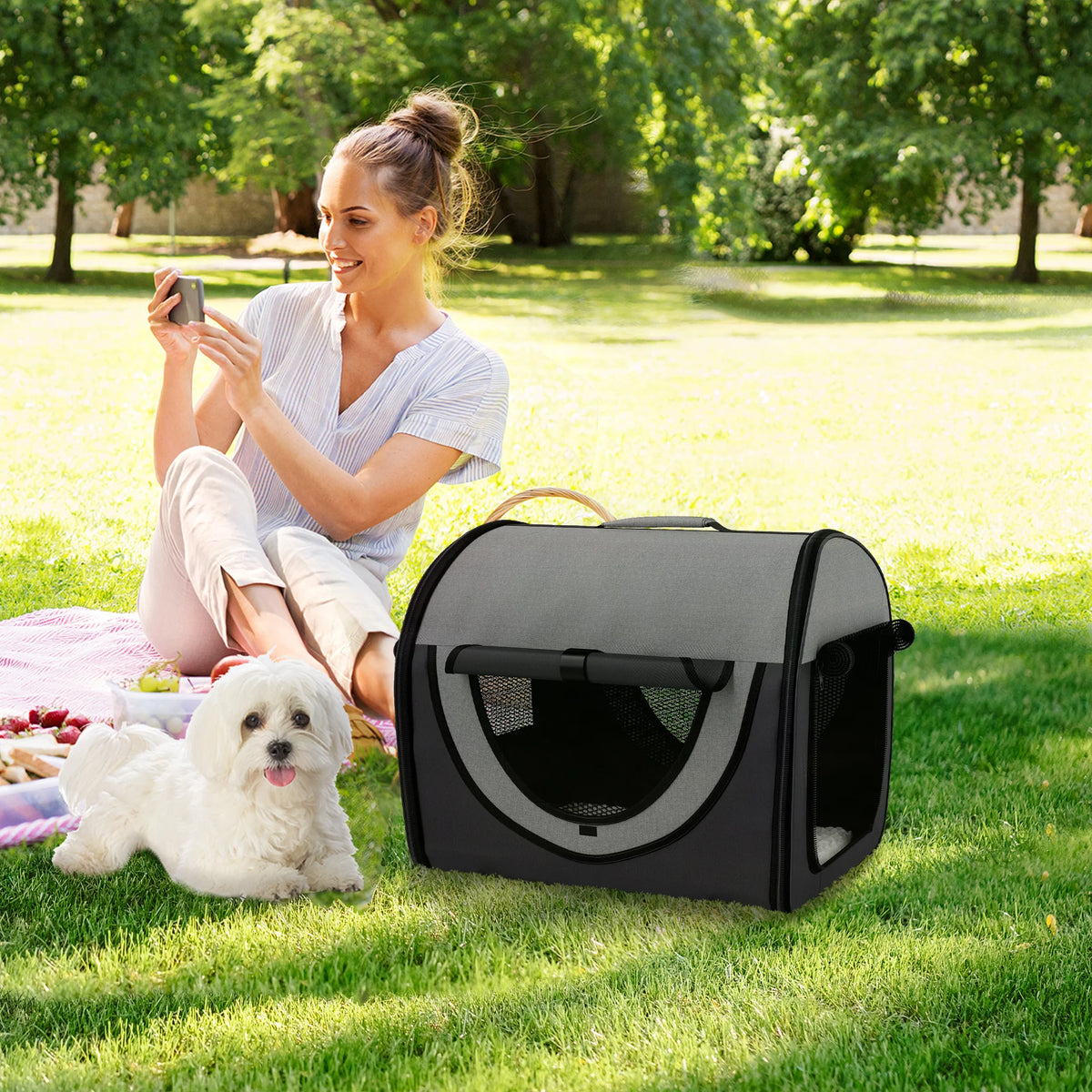 Folding Soft Pet Crate Fabric Travel Carrier with Cushion and Storage Bag for Cats and Small Dogs 46x36x41cm